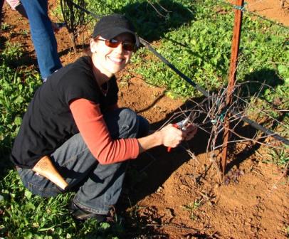 Here's me at the SRJC pruning class in January at the Shone Farm.